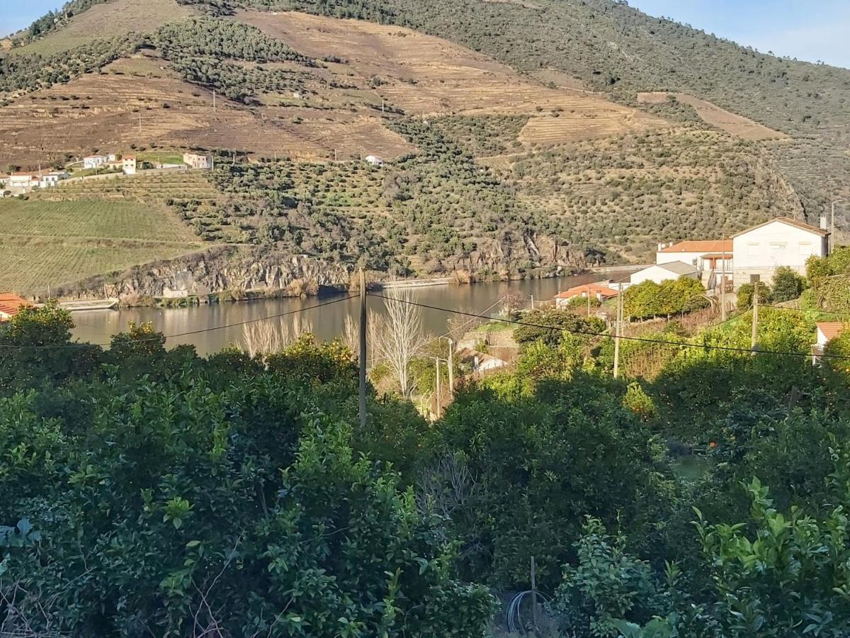 Vila Casa Da Padaria Folgosa  Exteriér fotografie