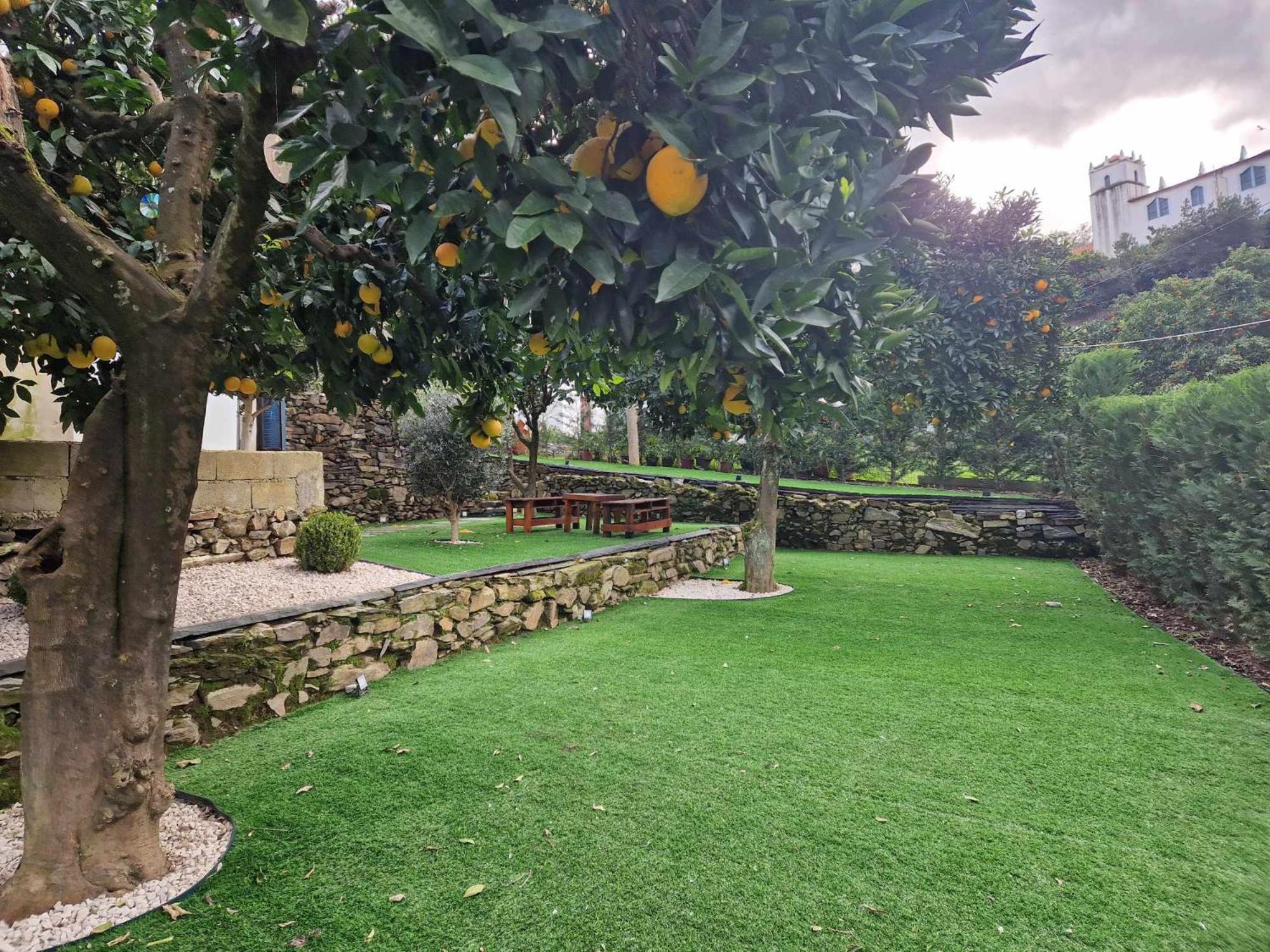 Vila Casa Da Padaria Folgosa  Exteriér fotografie