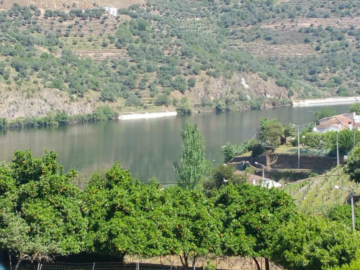 Vila Casa Da Padaria Folgosa  Exteriér fotografie